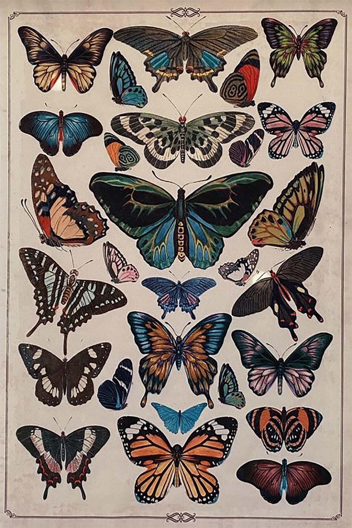 Butterfly Minimalist Art Print for Kids' Room Decor - Image 3