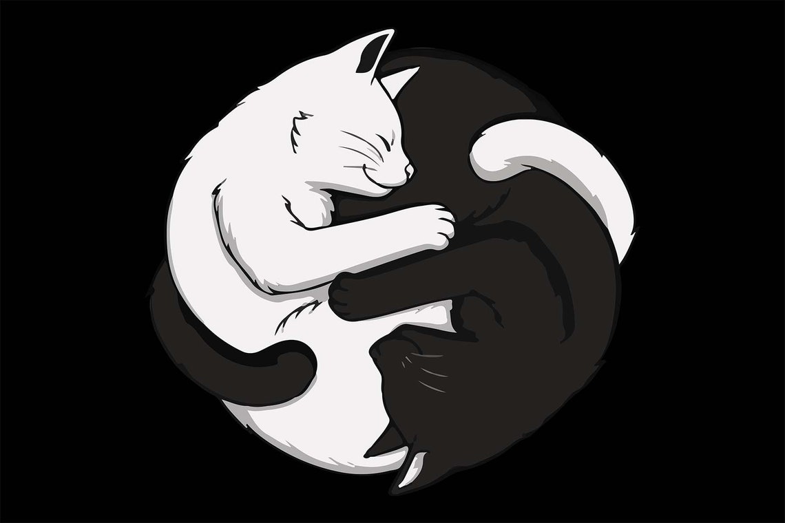 Yin Yang Cuddling Cats Black White Cute Sleeping Kitten Wall Art Decor - Image 3