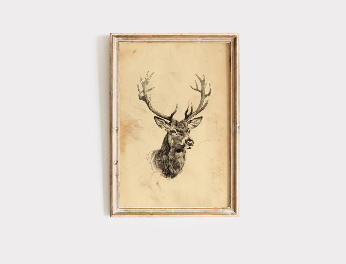 Antique Stag Head Engraving Vintage Deer Sketch Hunting Wall Art - Image 2