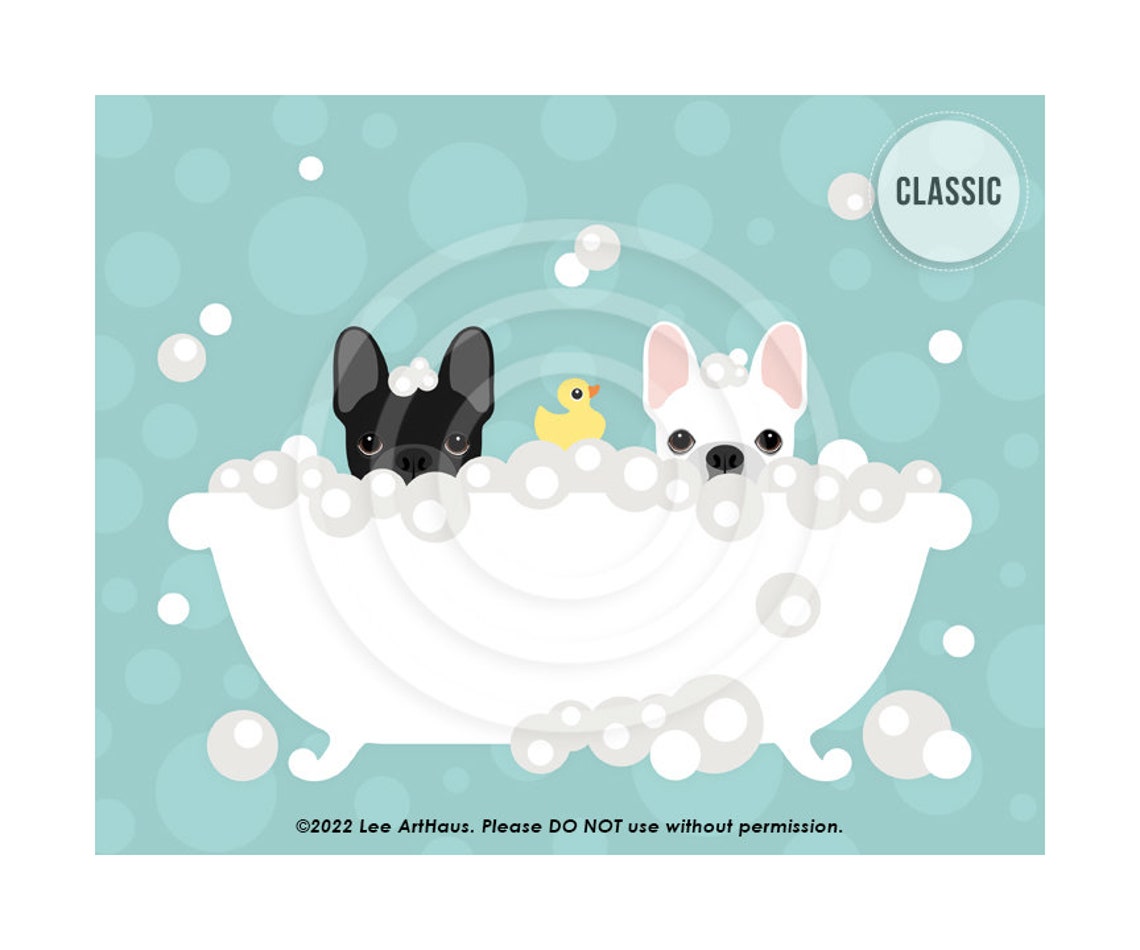 Two French Bulldogs In Bubble Bath With Rubber Duck Dog Poster