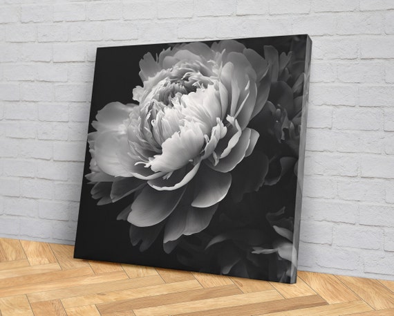 Monochrome Peony, Black White Flower Art Print
