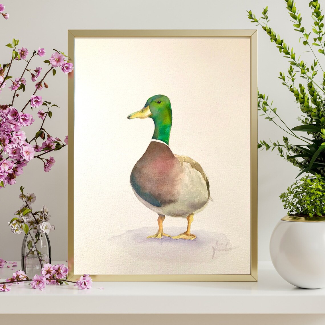 Elegant Mallard Drake in Profile Watercolor Bird Portrait Poster
