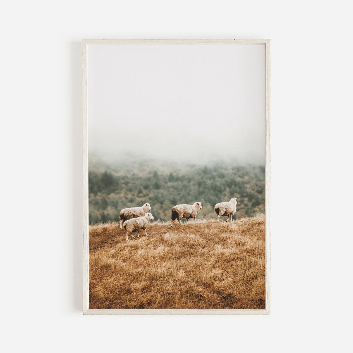 Herd Of Sheep Art Print
