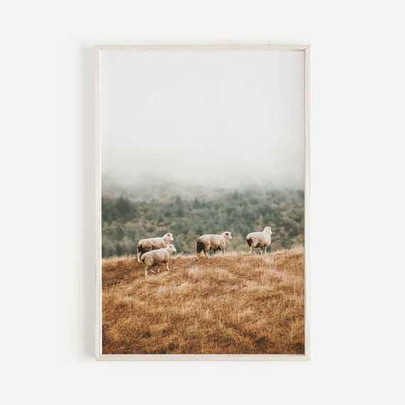 Herd Of Sheep Art Print