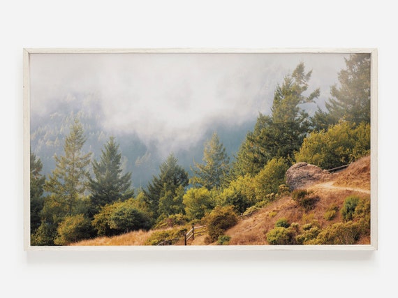 Samsung Frame Tv Art Foggy Forest Decor Trees Photography Pine For Rustic Landscape