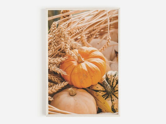 Pumpkins Gourds and Golden Wheat Autumn Harvest Photo Poster