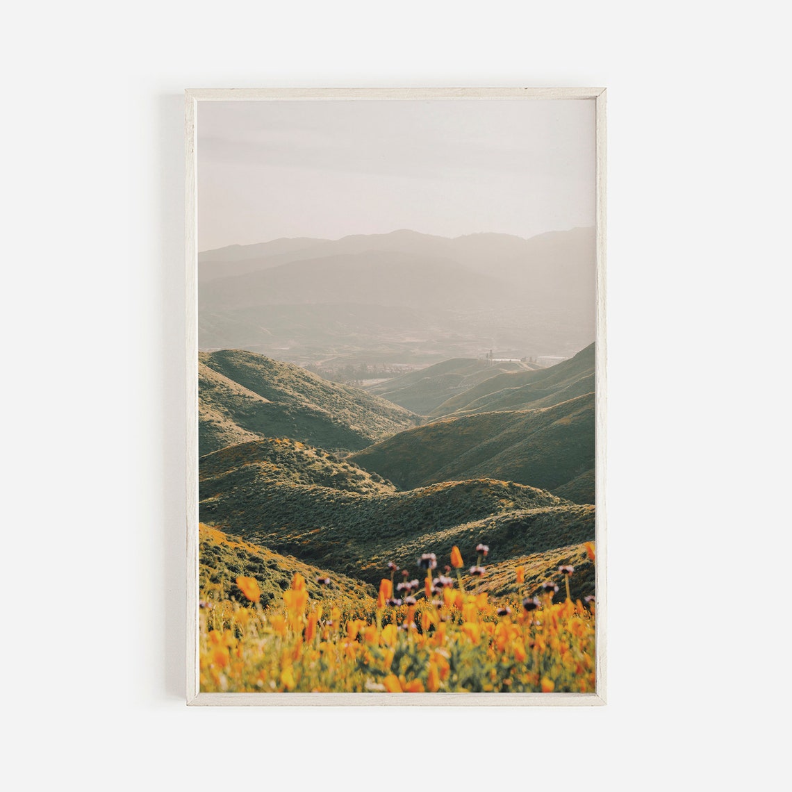 Poppy Landscape Floral Art Print