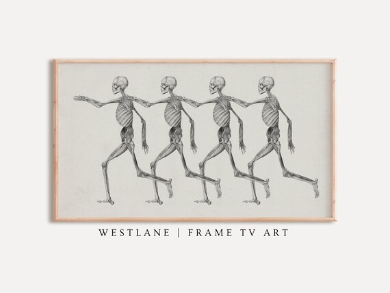 Four Dancing Skeletons Holding Hands Vintage Sketch Halloween Wall Art