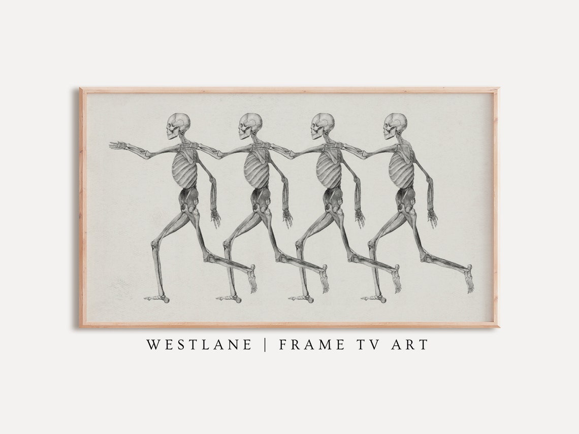Four Dancing Skeletons Holding Hands Vintage Sketch Halloween Wall Art
