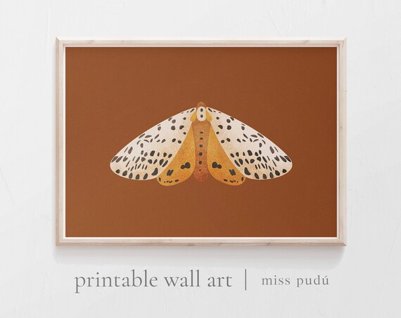 Moth Illustration Modern Wildlife Garden Decor Art Print
