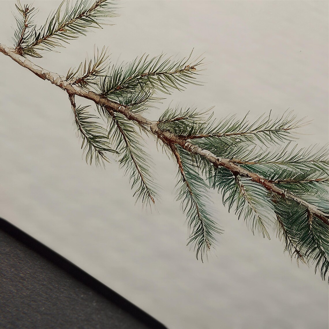 Evergreen Pine Branch Watercolor Painting Neutral Winter Art Poster - Image 5