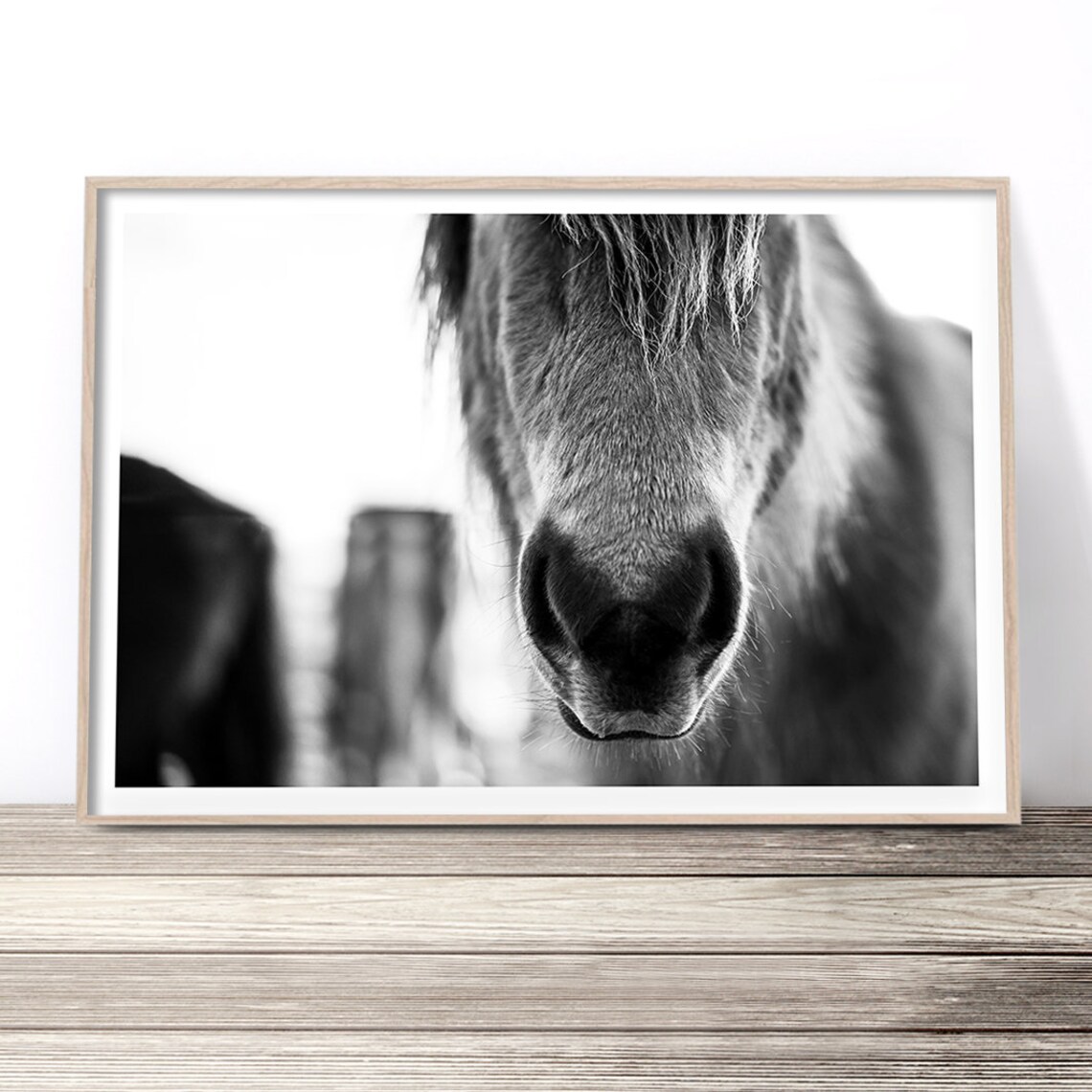 Black And White Horse Print Scandinavian Wall Art Icelandic Horse Photo Print Pony Photography Artwork Modern Farmhouse Decor Poster