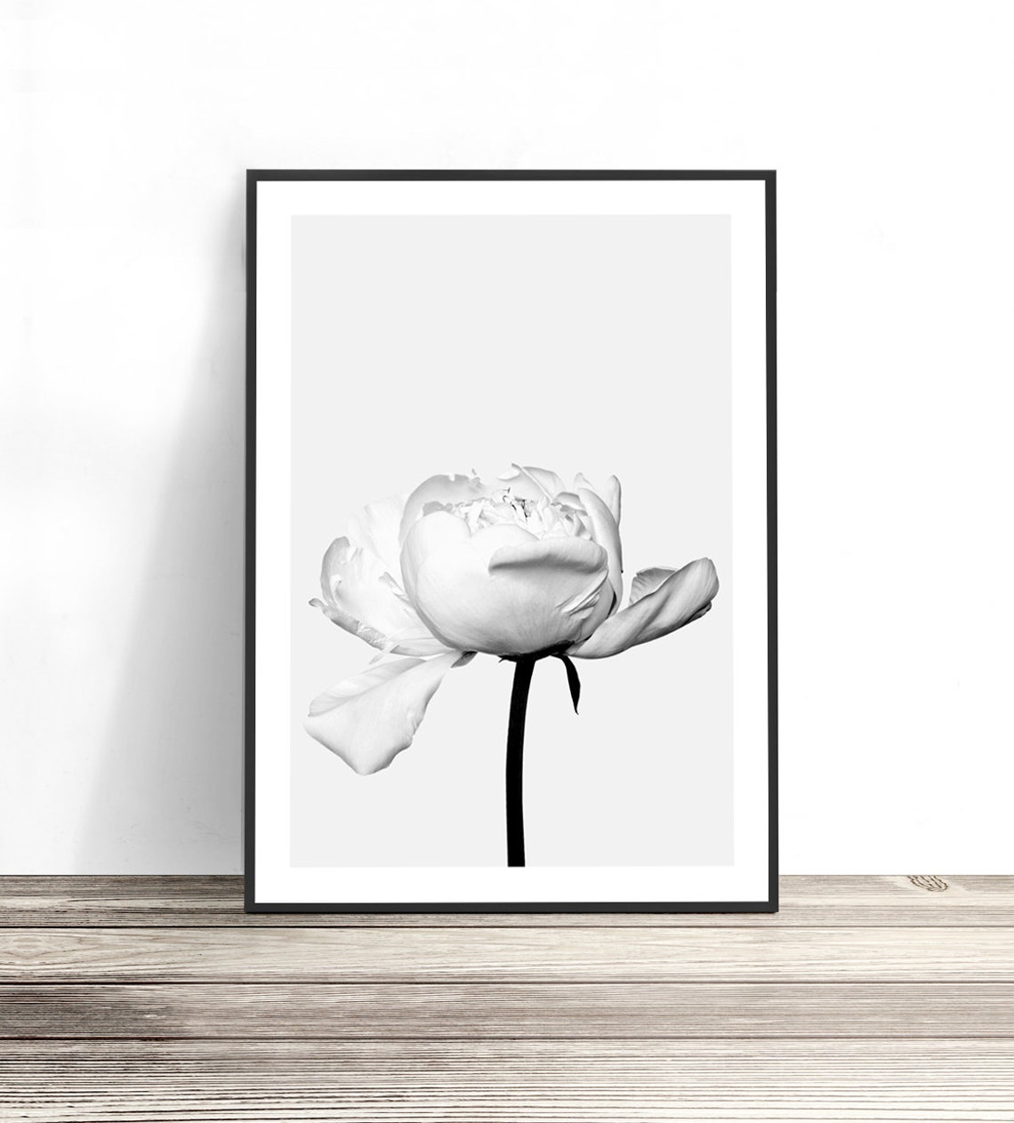 Black And White Peony Flower Botanical Photography Wall Art Poster