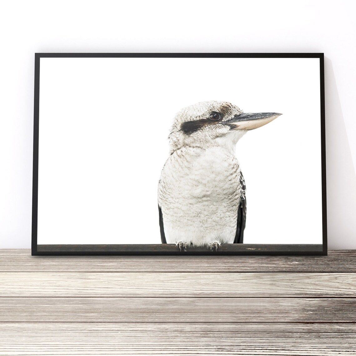 Kookaburra Bird Photography Print, Australian Native