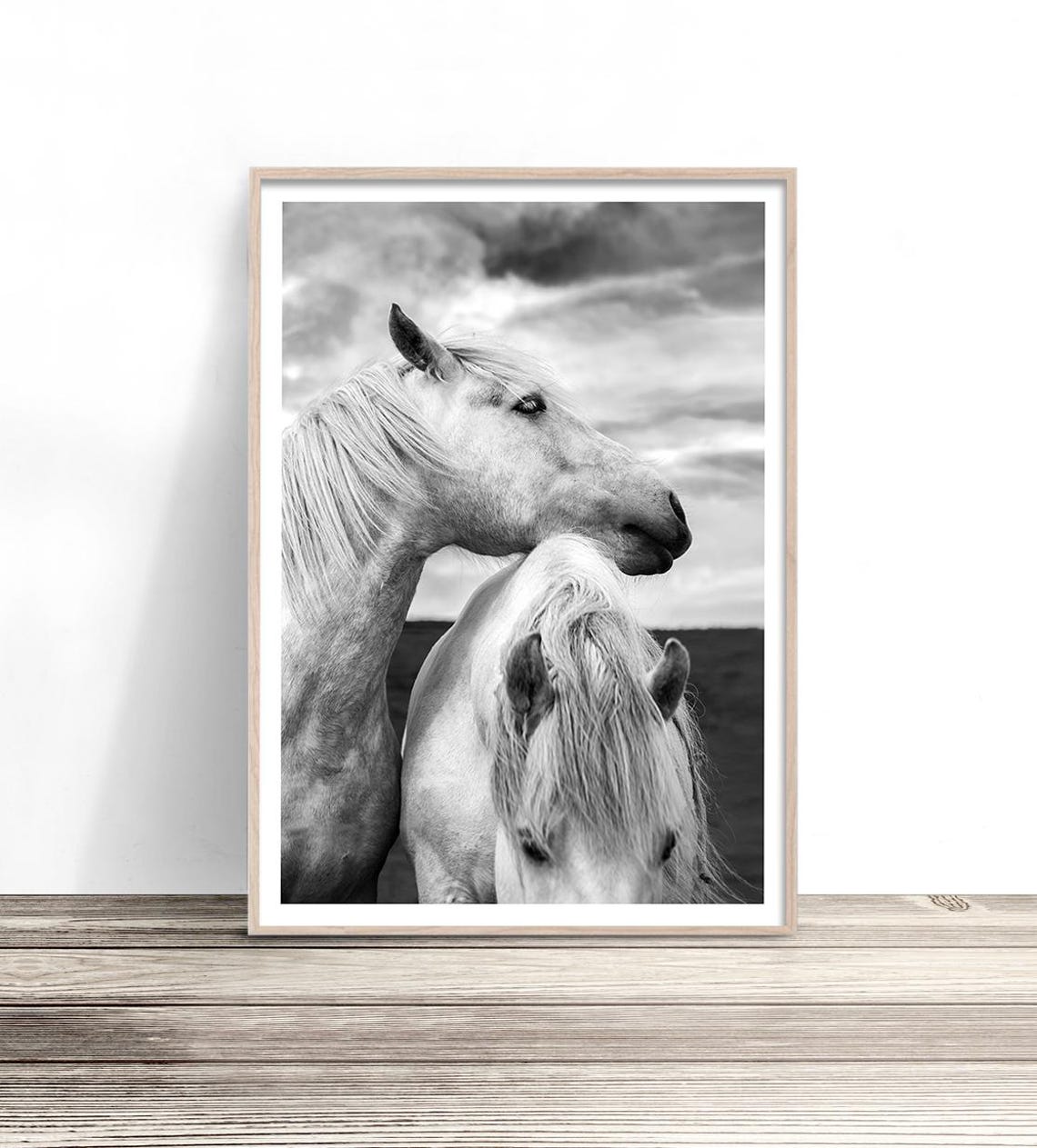 Black And White Two White Horses Tender Moment Equestrian Poster
