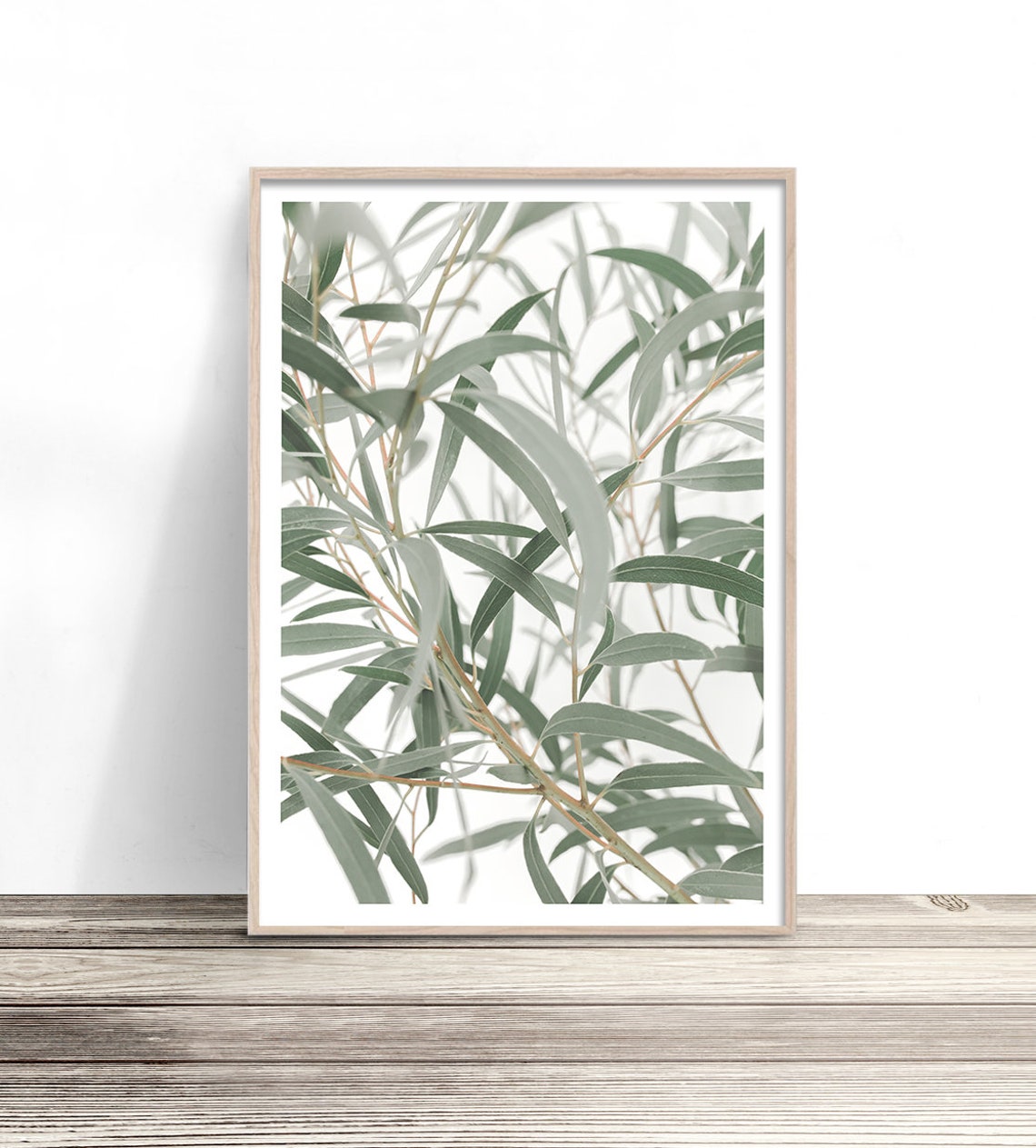 Eucalyptus Gum Leaves Airy Botanical Photography Soft White Art Print