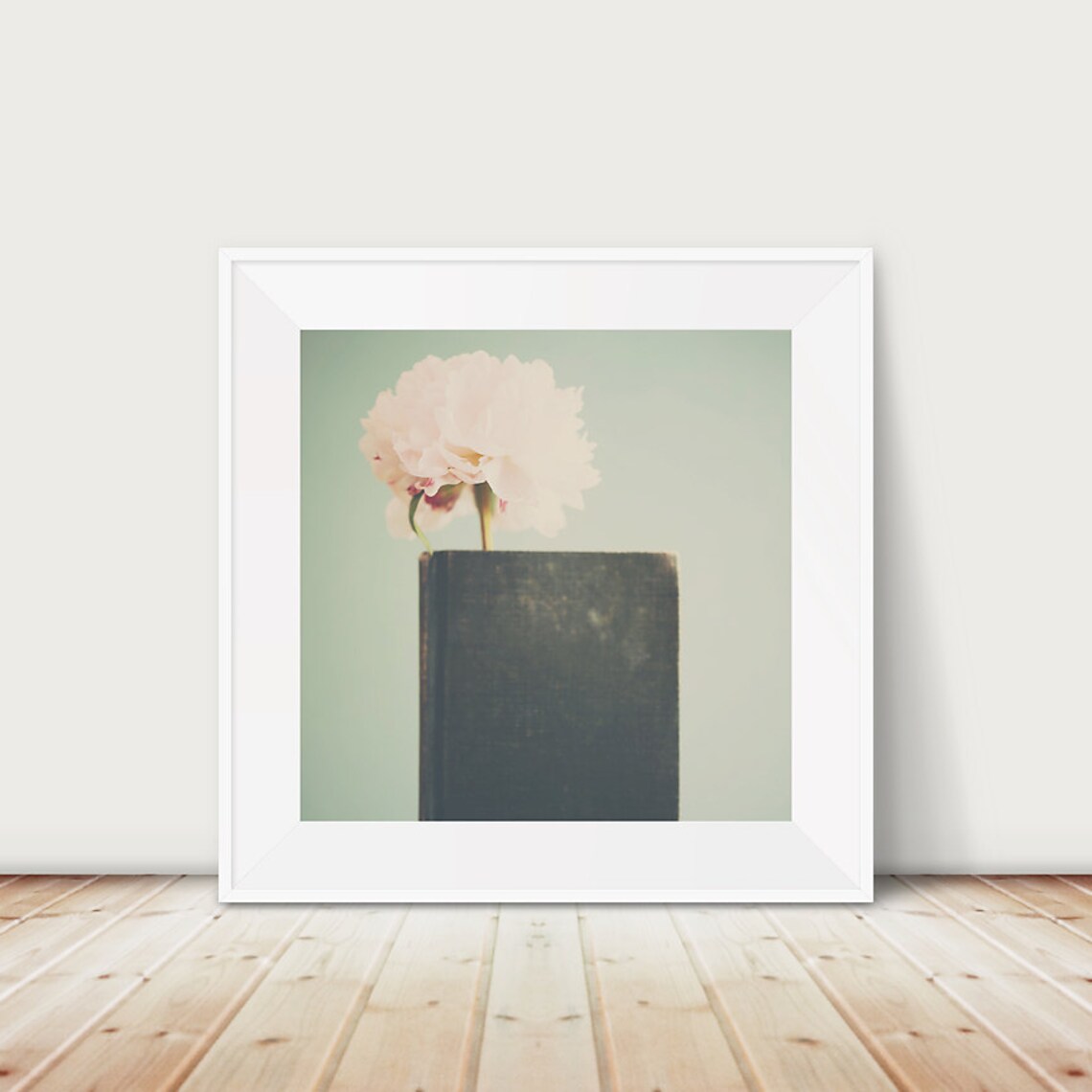 Pink Peony Flower Photograph Dark Book Minimal Still Life Poster