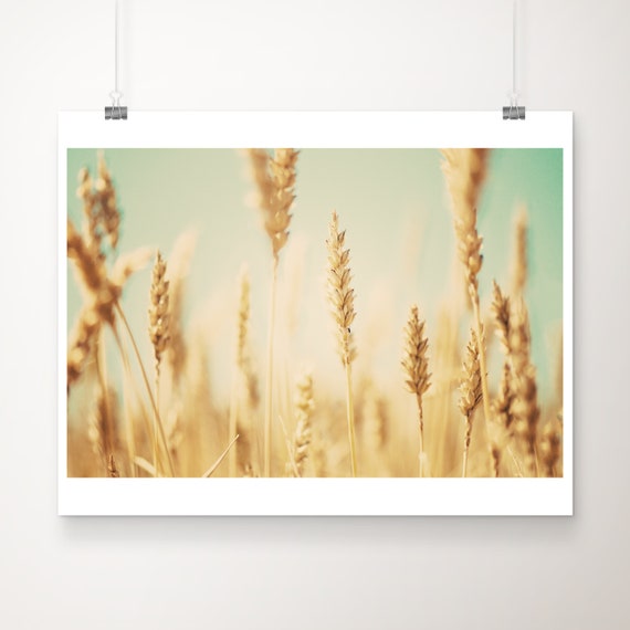 Wheat Field Photograph Rustic Decor Countryside Print Large Wall Art Nature Photography Botanical