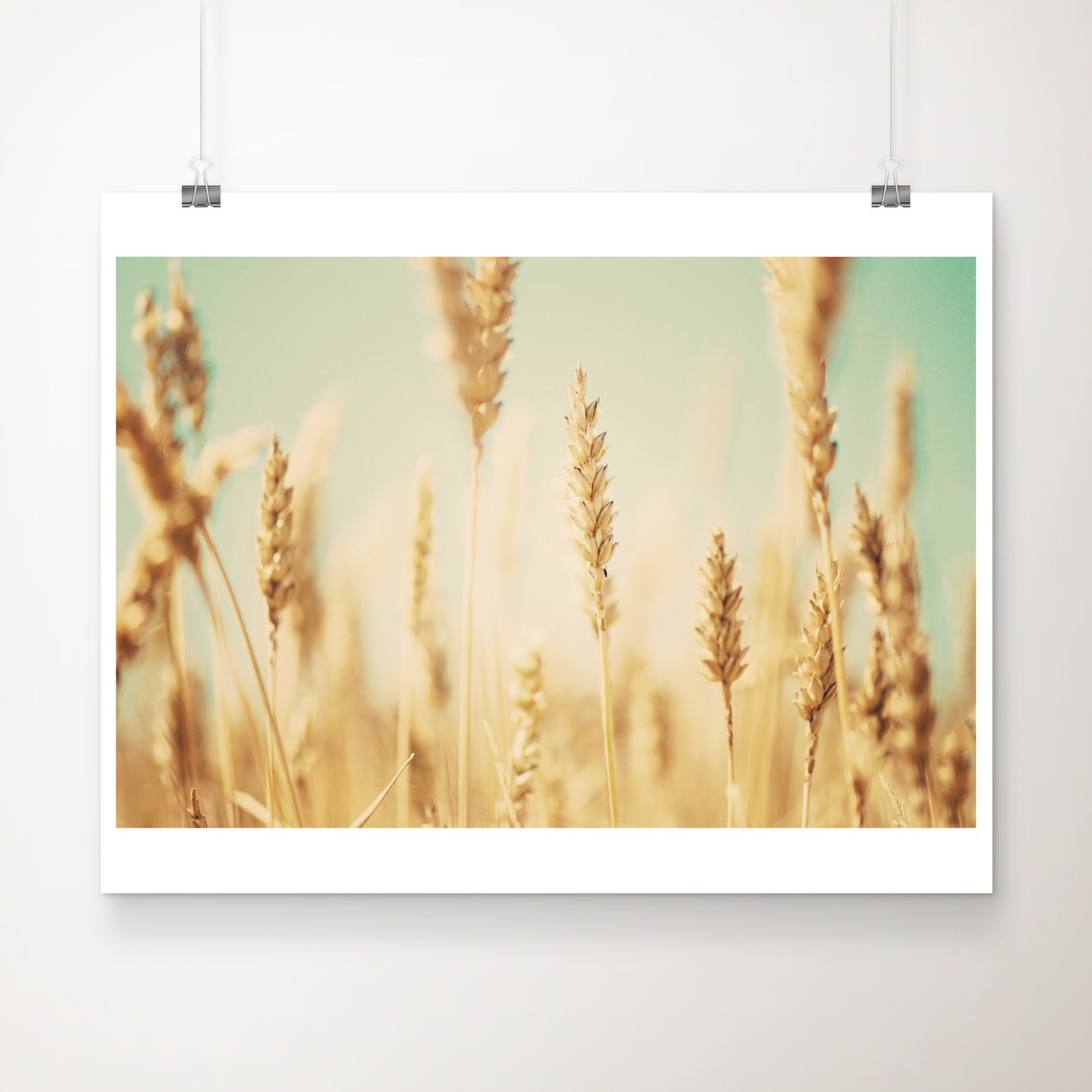 Wheat Field Photograph Rustic Decor Countryside Print Large Wall Art Nature Photography Botanical