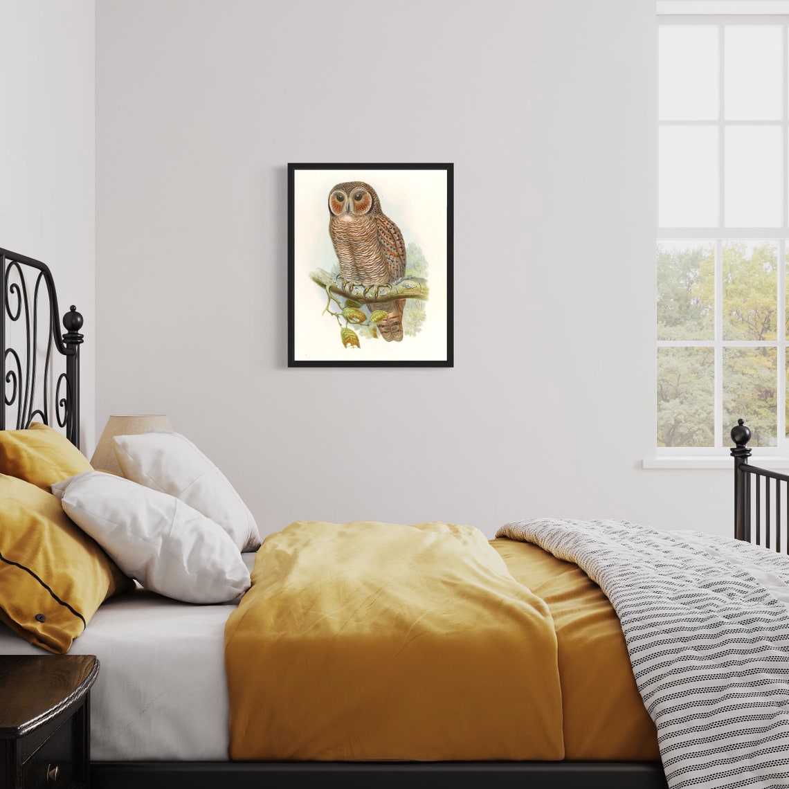 Speckled Mottled Owl on Leafy Branch Vintage Naturalist Art Print - Image 2