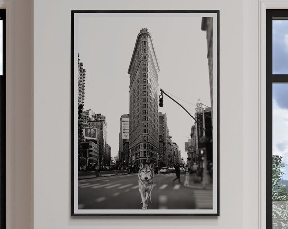 Fine Art Black And White New York Photography Print Wolf In Street Wall Flatiron Building Nyc Home Decor