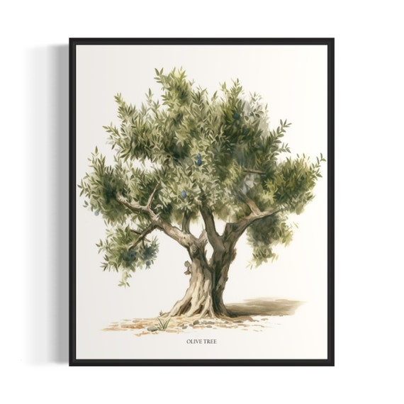 Olive Tree Art Print Olive Tree Wall Art Poster