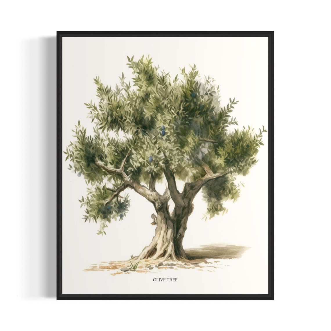 Olive Tree Art Print Olive Tree Wall Art Poster