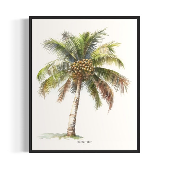 Coconut Tree Art Print Coconut Tree Wall Art Poster