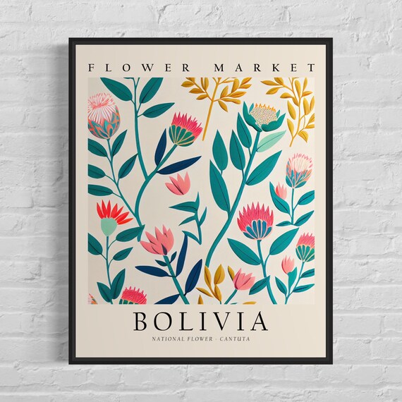 Bolivia Cantuta Flower Market Art Print, 1960s Botanical