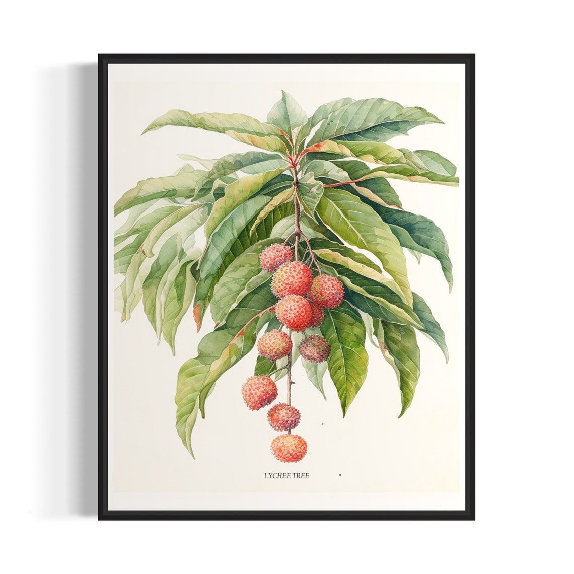 Lychee Tree Art Print Lychee Tree Wall Art Poster