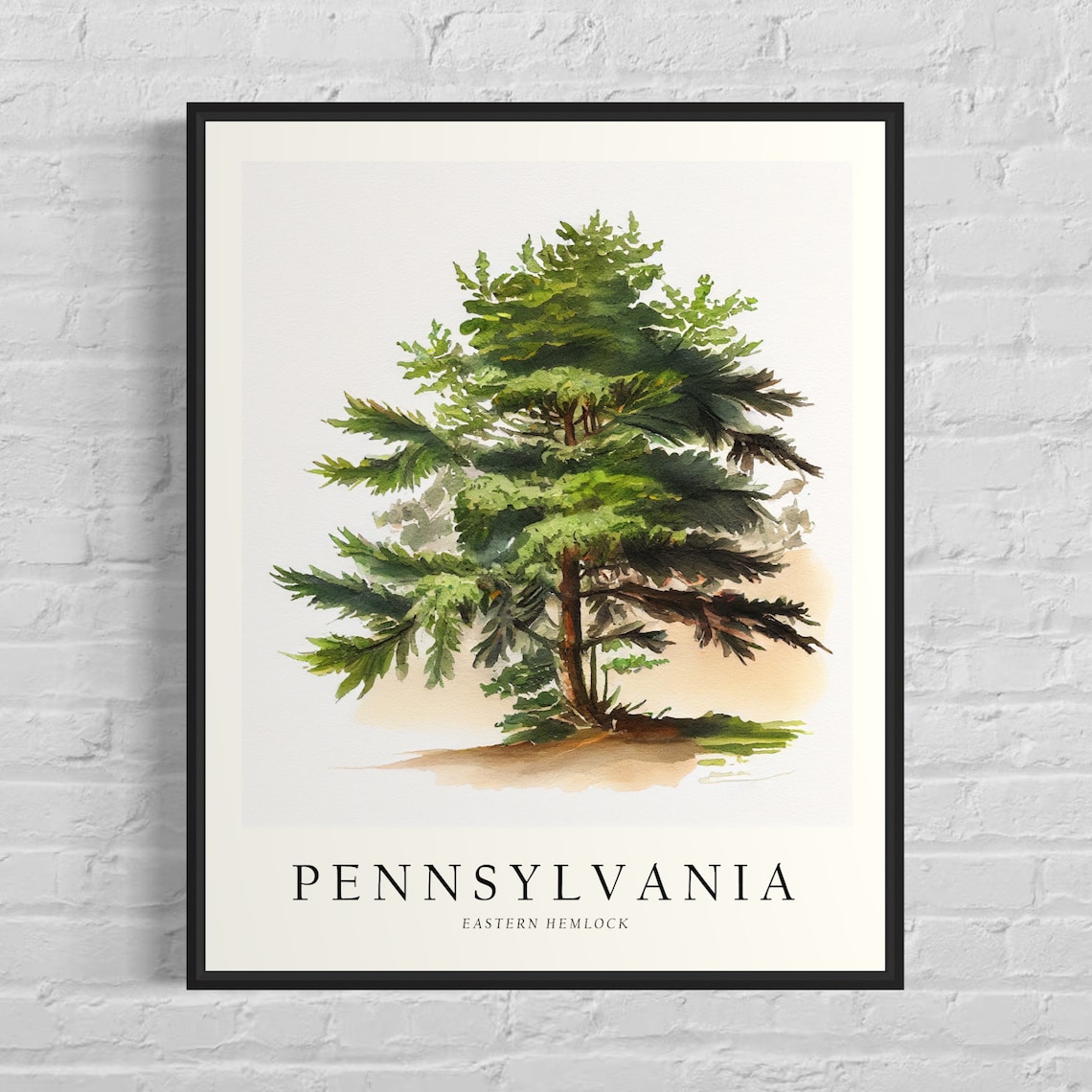 Pennsylvania State Tree Eastern Hemlock Art Print
