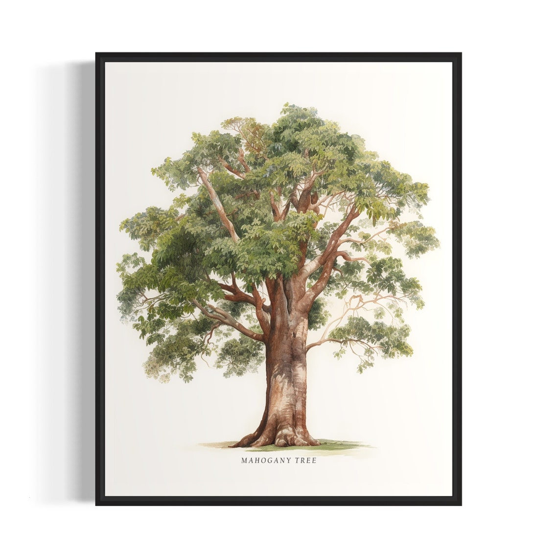 Mahogany Tree Art Print Mahogany Tree Wall Art Poster