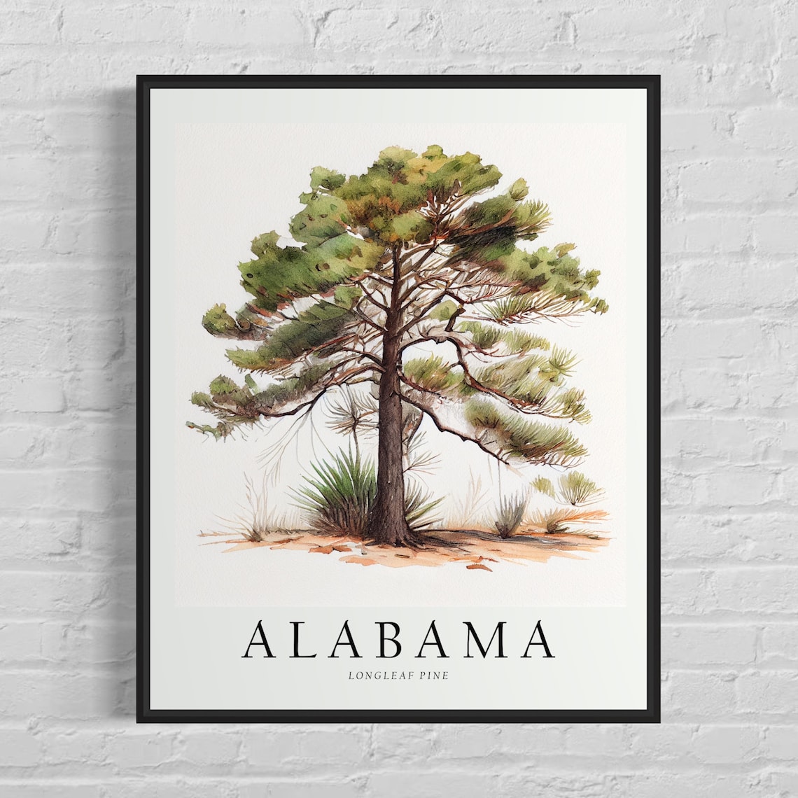 Alabama State Tree Longleaf Pine Art Print