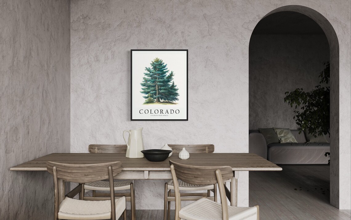 Colorado State Tree Blue Spruce Art Print - Image 3
