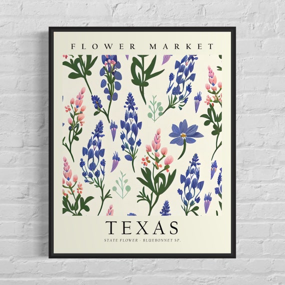 Texas State Flower Bluebonnet Botanical Art Print