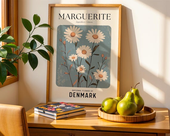 Marguerite Daisy Boho Flower Market Art Print