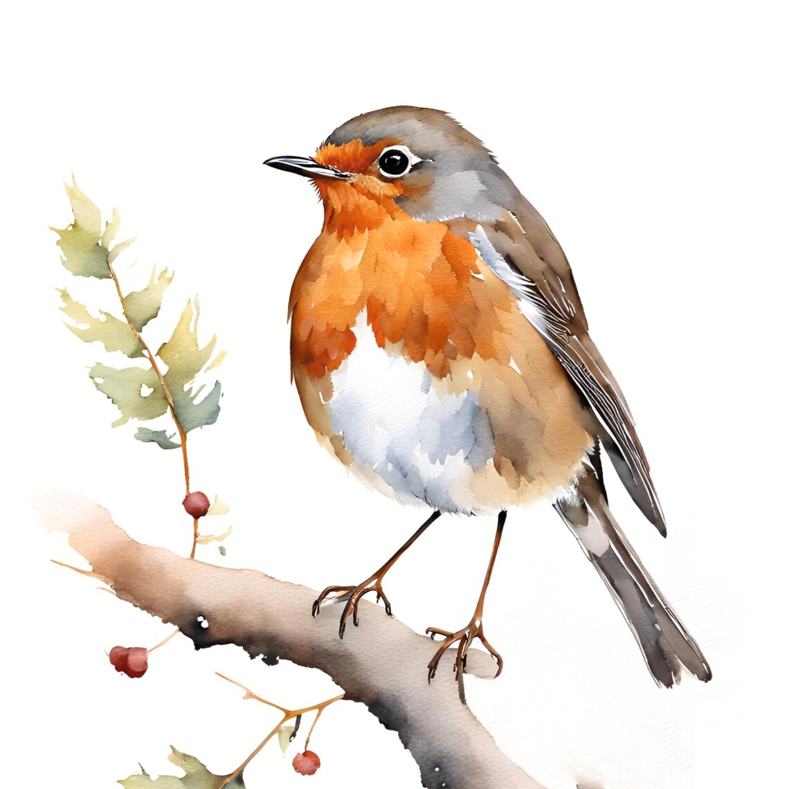 Robin Bird Watercolor Art Print, Farmhouse Decor