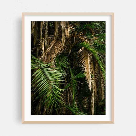 Sunlit Palm Fronds with Dried Golden Foliage Jungle Wall Art