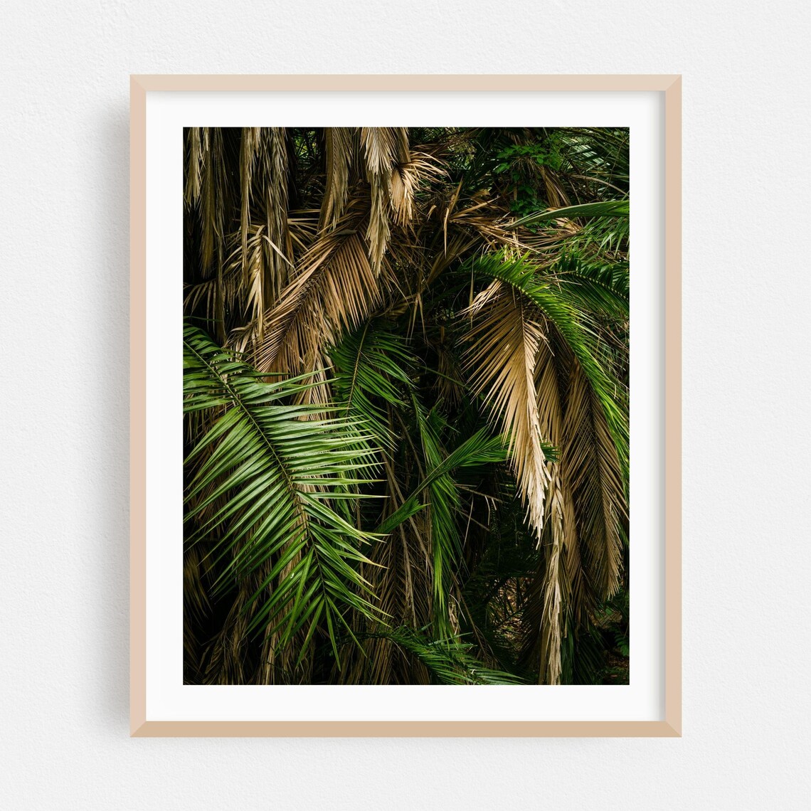 Sunlit Palm Fronds with Dried Golden Foliage Jungle Wall Art