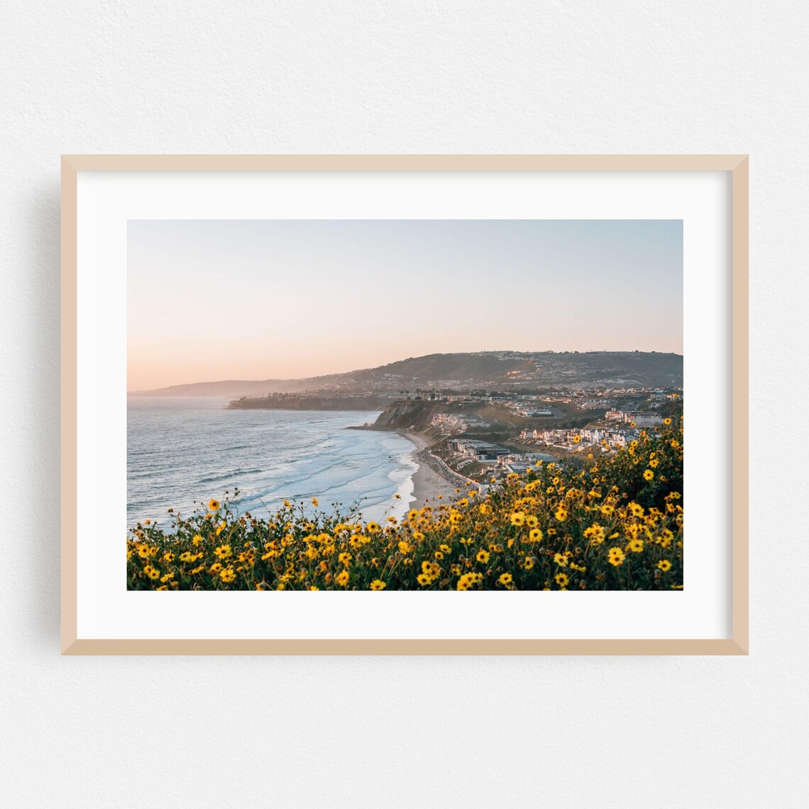 Dana Point California Sunset Coast Wildflowers Photo Art Print