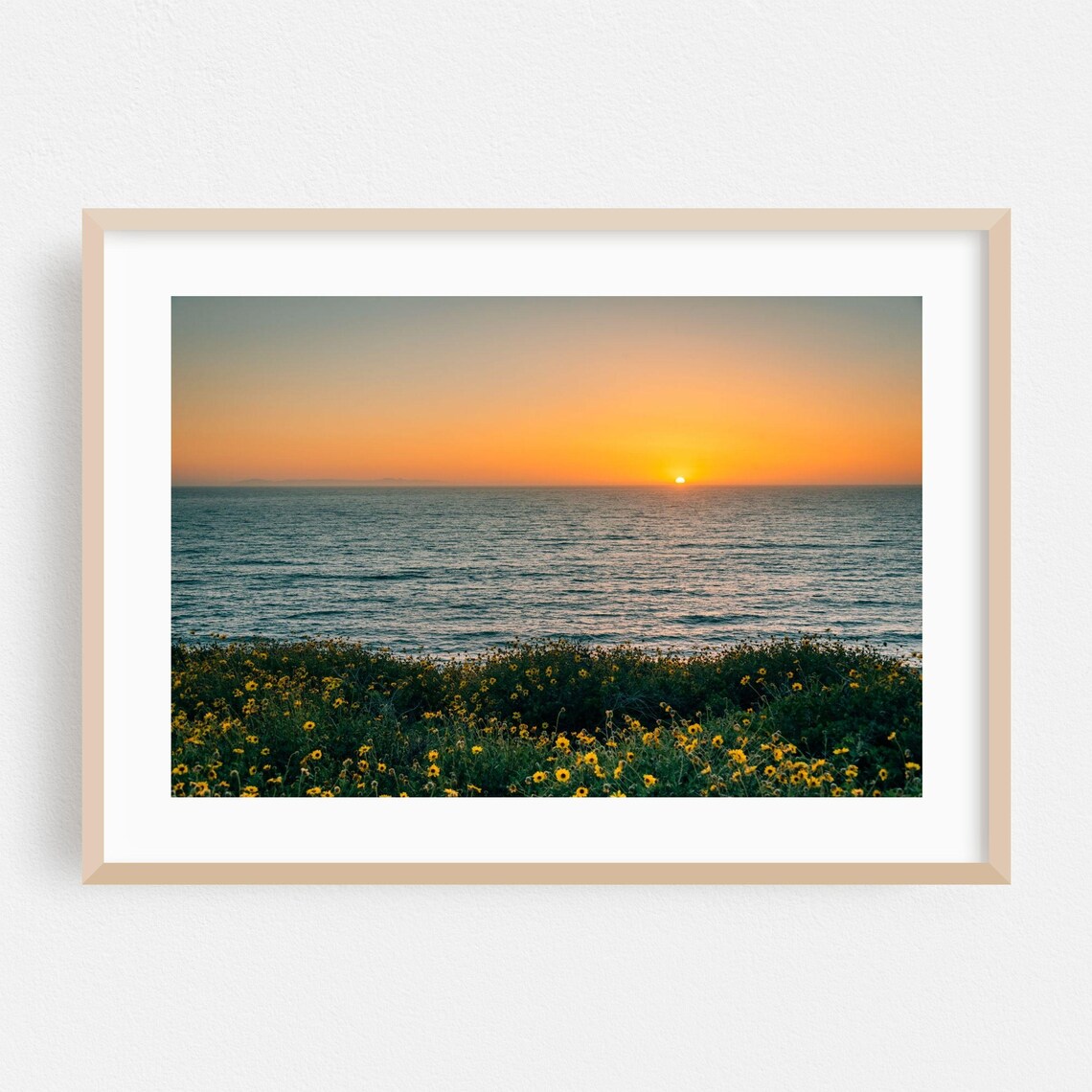 Dana Point California Sunset Ocean Wildflowers Photography Poster