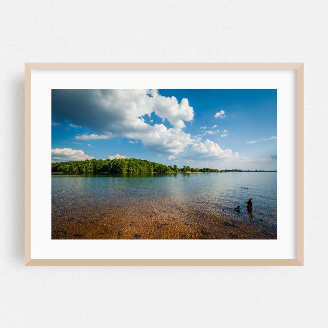 North Carolina Calm Lake Forest Shoreline Summer Photo Poster