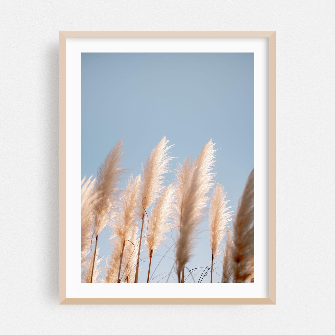 Pampas Grass Against Blue Sky Minimalist Botanical Photo Poster