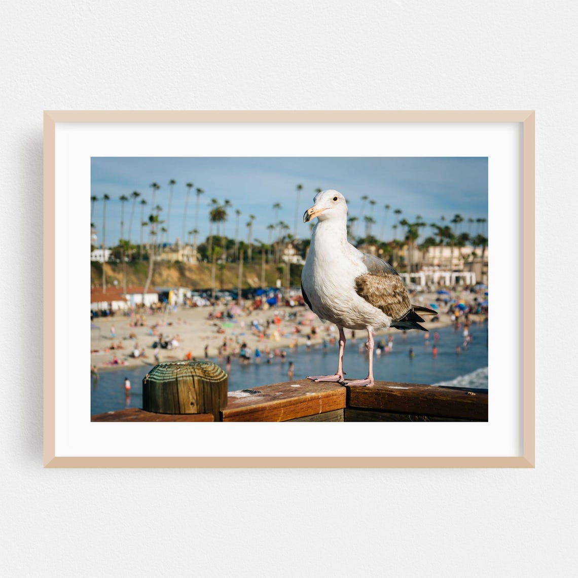 Seagull on Oceanside Boardwalk Beach Day Coastal Photography Poster