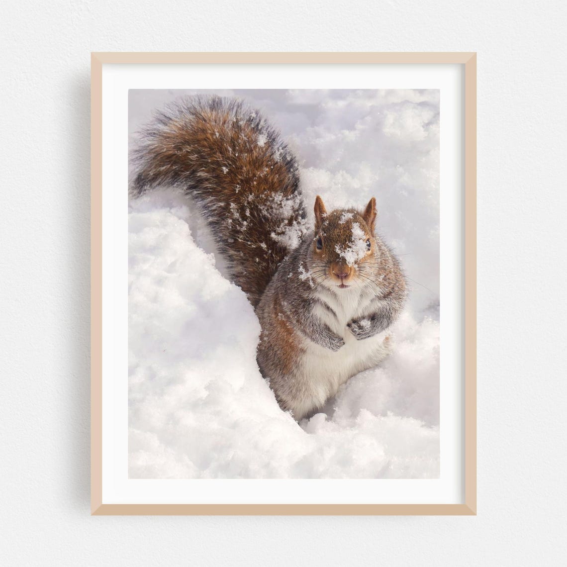 Cute Squirrel Standing In Deep Snow Funny Wildlife Winter Poster