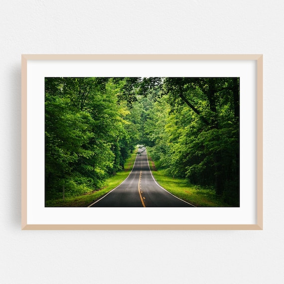 Virginia Forest Country Road Summer Green Tunnel Photo Poster