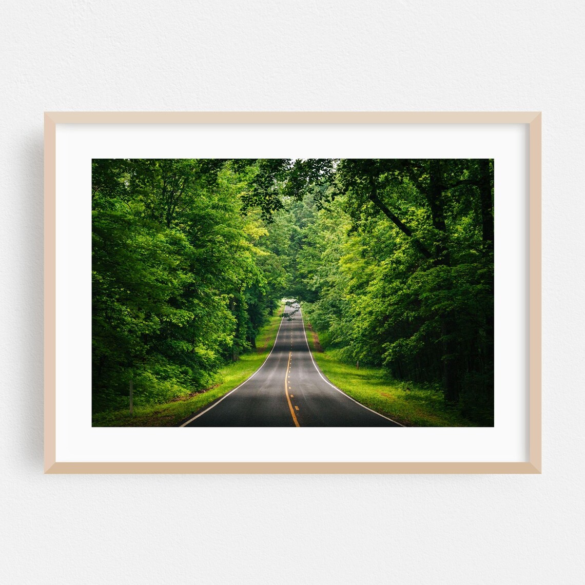 Virginia Forest Country Road Summer Green Tunnel Photo Poster