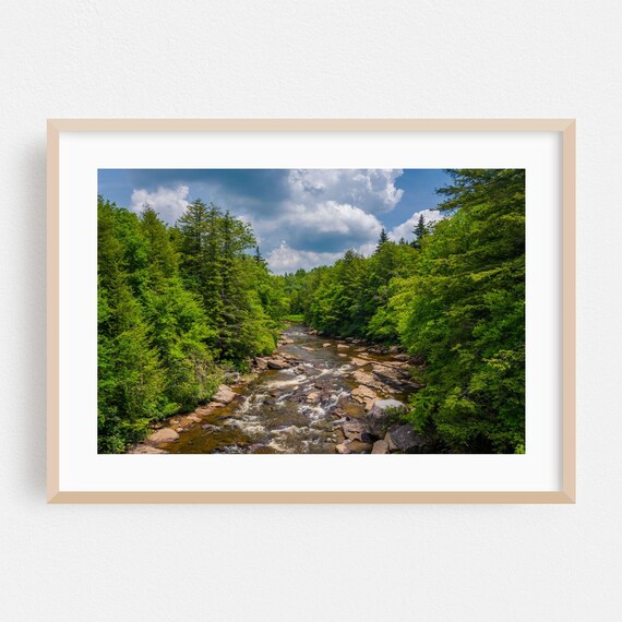 West Virginia Forest River Summer Stream Nature Photography Poster