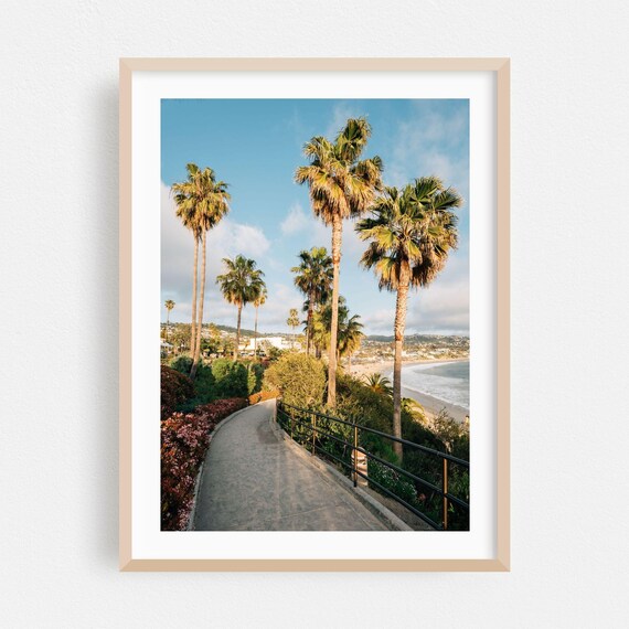 Palm Tree Lined Path to the Beach Coastal Walkway Photography Art Poster