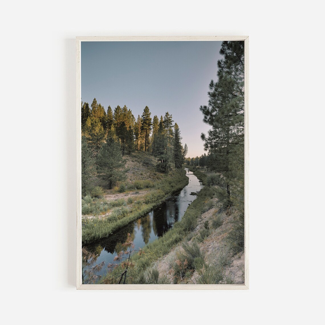 Quiet Forest Creek New Mexico Scenery Art Print